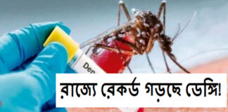 জেলায় ডেঙ্গি